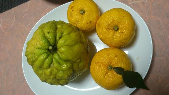 復活したよ＝