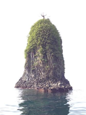 写真10.JPG