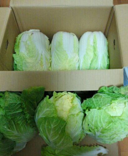 rblog-20151213151009-01.jpg