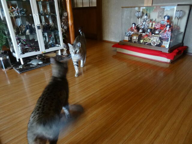 rblog-20150214171127-03.jpg