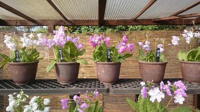 2015-04-18 15.51.41.jpg