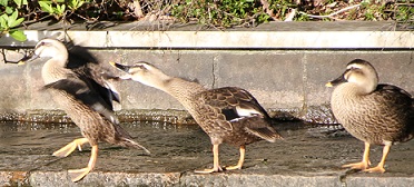 E7D_7119-2.jpg