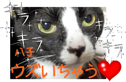 P41100223.png