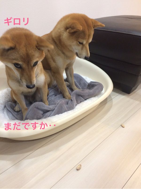 rblog-20161124125920-04.jpg