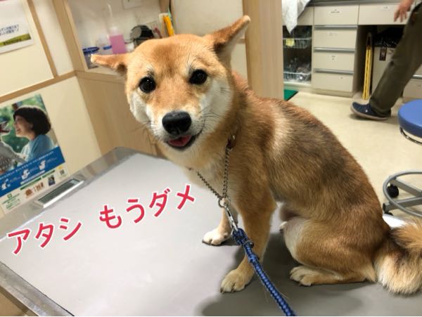rblog-20180105111220-02.jpg