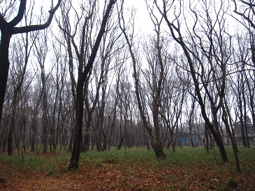 IMG_7257.JPG