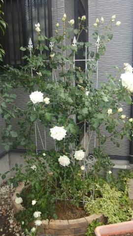 rblog-20140612013627-01.jpg