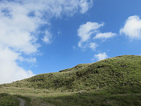 IMG_6448.jpg
