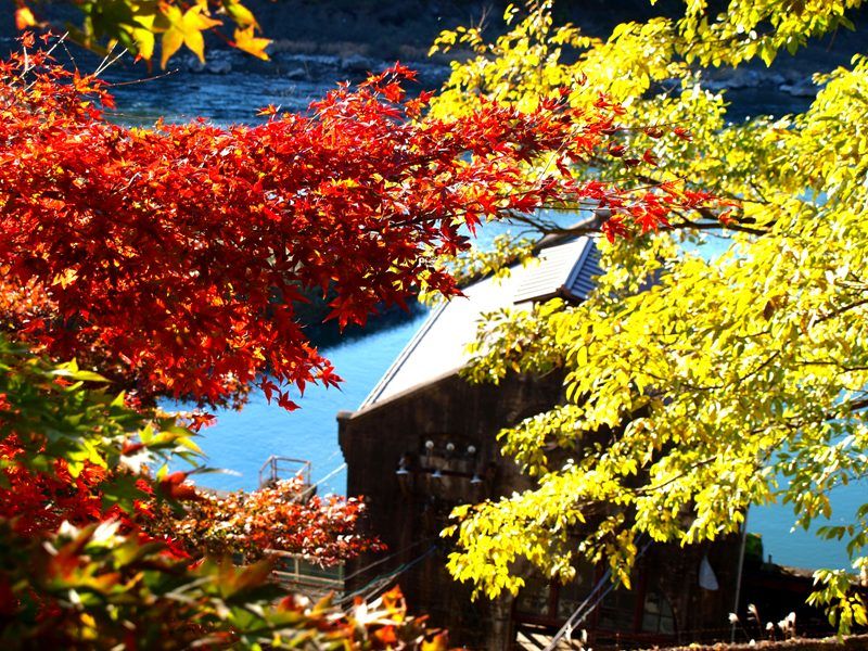 赤と青のコントラスト