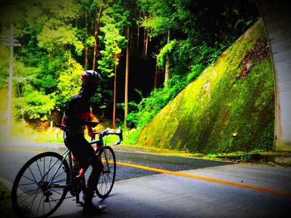 rblog-20150816205912-02.jpg