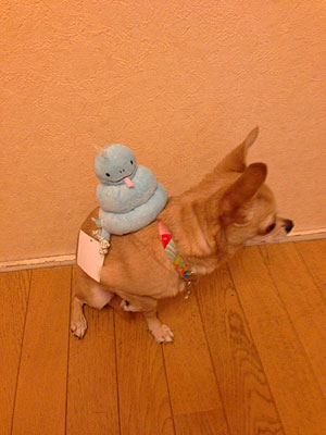 かたつむり