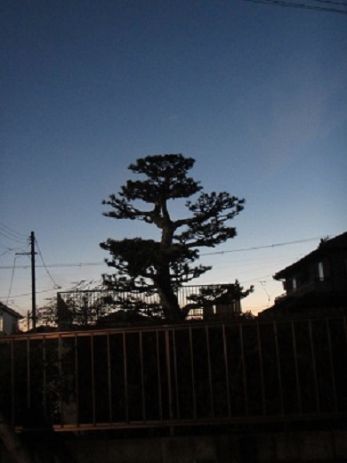 夕４０.jpg