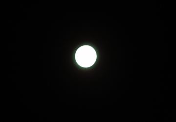 IMG_8043_R.JPG