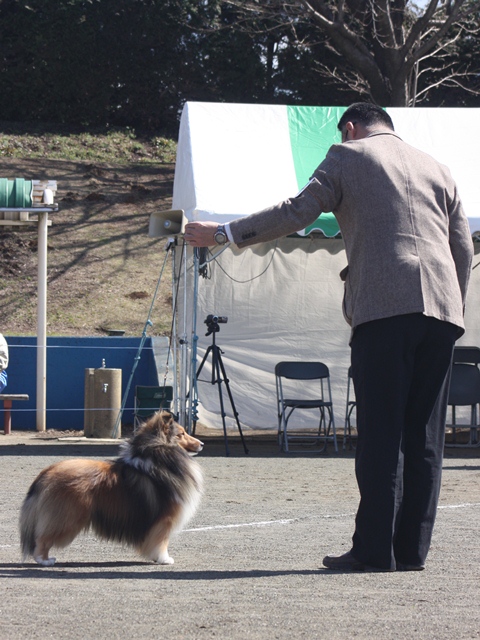 IMG_1016 - コピー.JPG