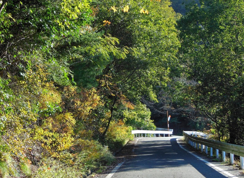 遊歩道