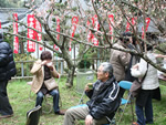 下関市・梅祭り.jpg