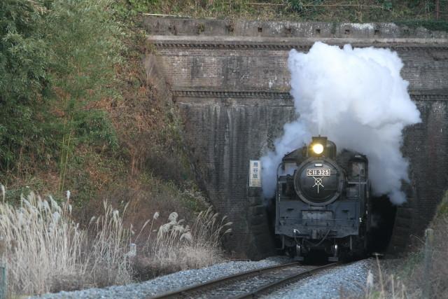 SL石巻線100周年号と１００年の鳥谷坂トンネル3