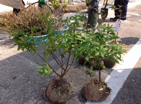 温泉2.jpg