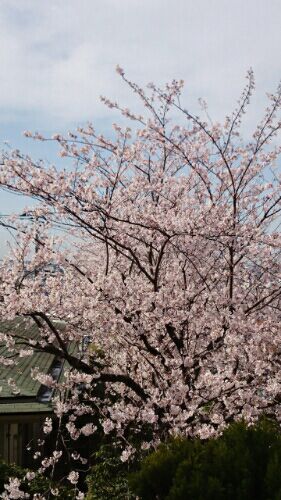 rblog-20160406222039-01.jpg