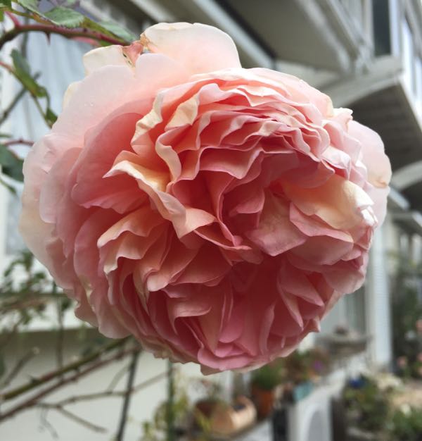 rblog-20151215180705-06.jpg