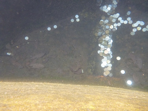 P1010779.JPG
