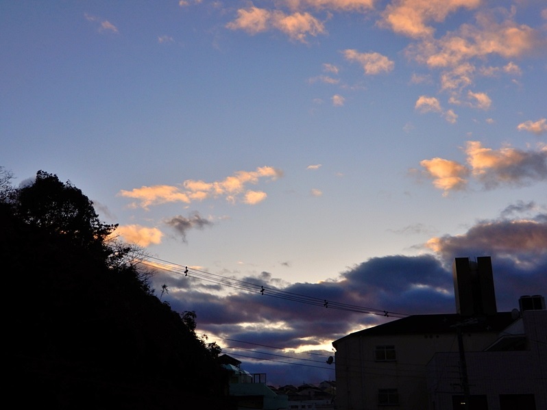夕暮れ3.JPG