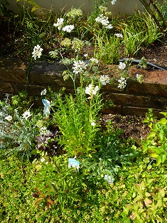 P1200962ss.jpg