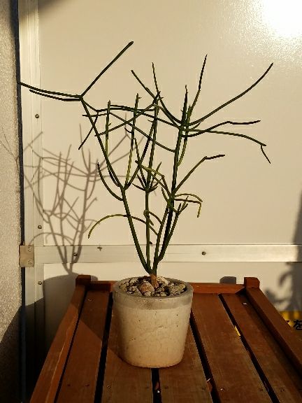 rblog-20180423144159-03.jpg
