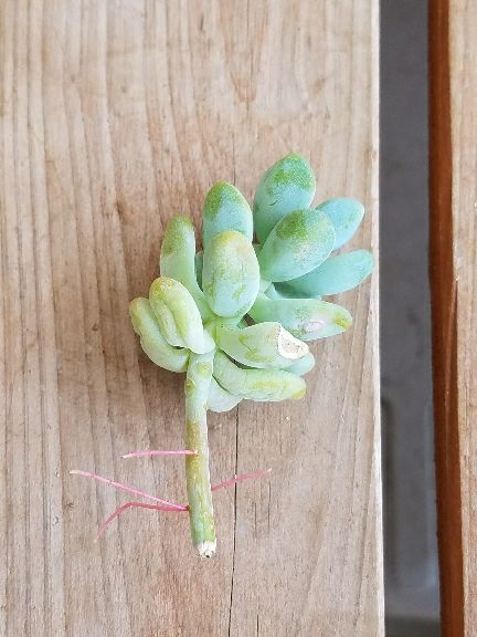 rblog-20180430124221-03.jpg