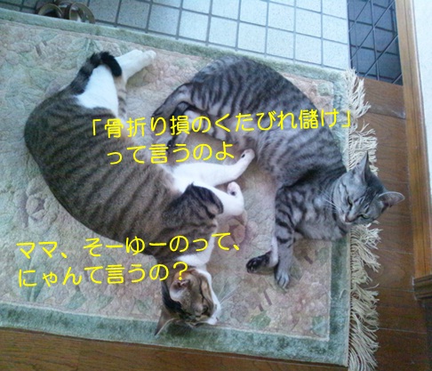 20120806_3.jpg