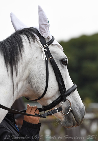 20151123_1411NikeStargazer_02