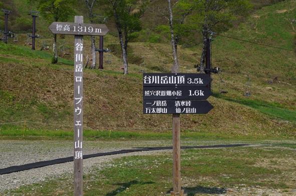 IMGP1133.JPG