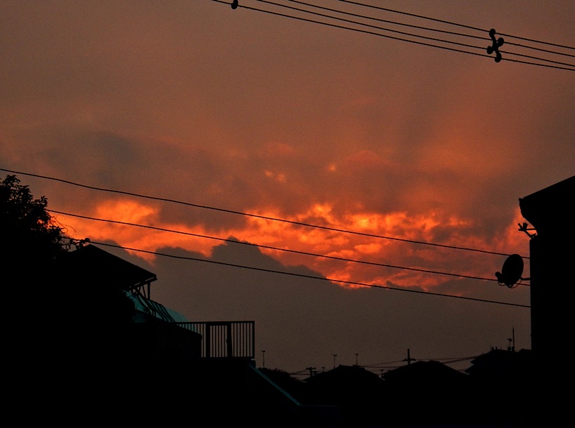 夕暮れ4.JPG