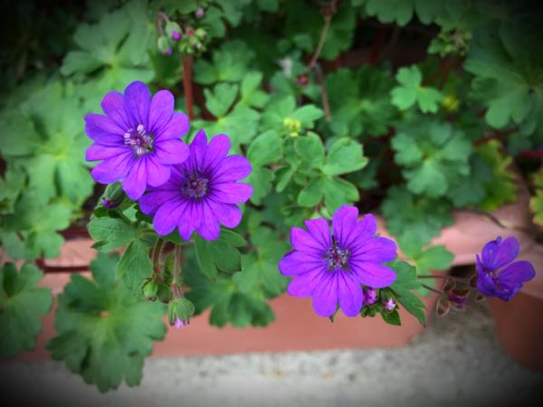 rblog-20160330184054-08.jpg