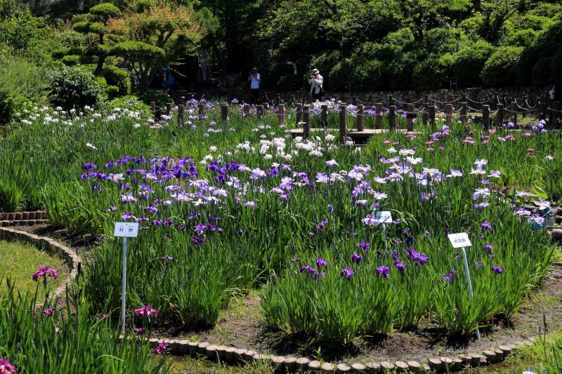 水月公園_004.jpg