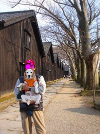 20130428山居倉庫