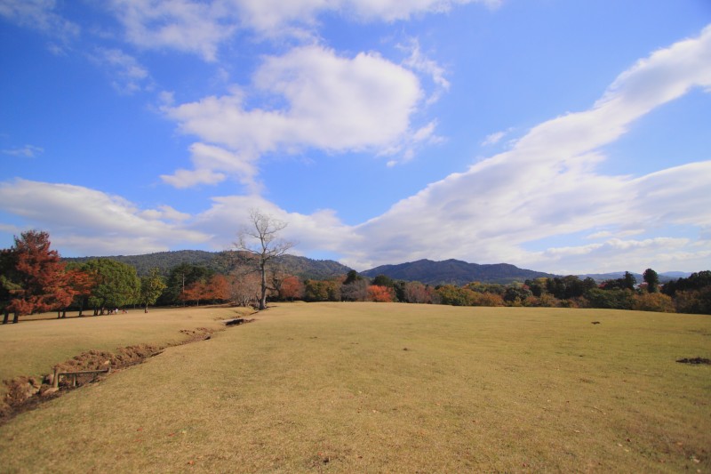 奈良公園・飛火野_004.jpg