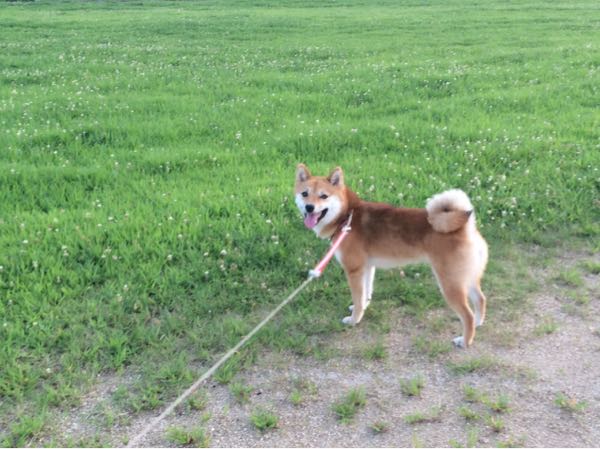 rblog-20160722094108-03.jpg