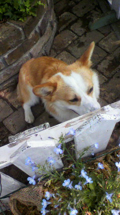 2012060111190000.jpg