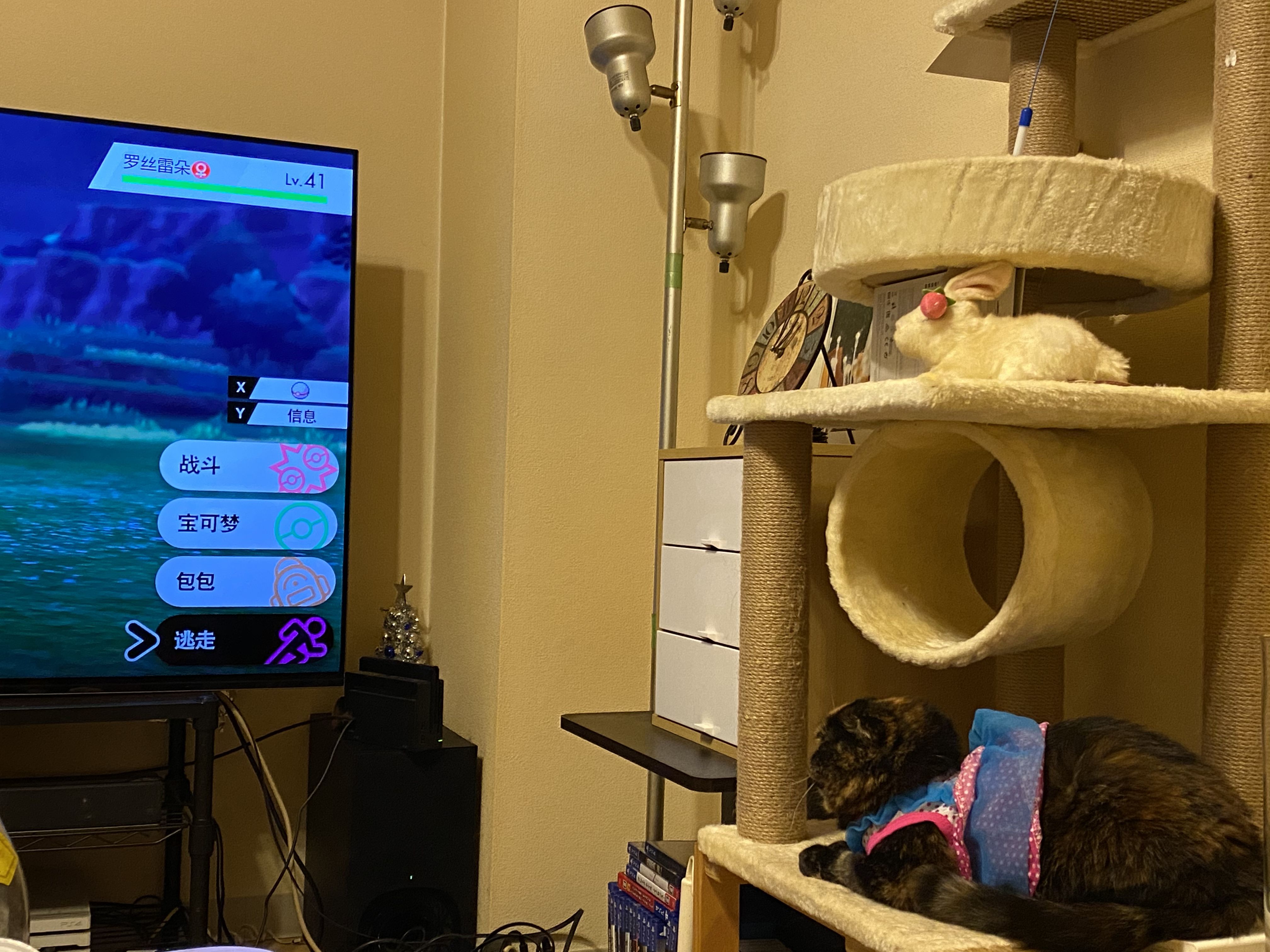 ポケモンソード ポップ弱い 野生のポケモン強い 教科書に載らないガチ対訳 楽天ブログ