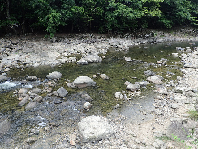 resize0035.jpg