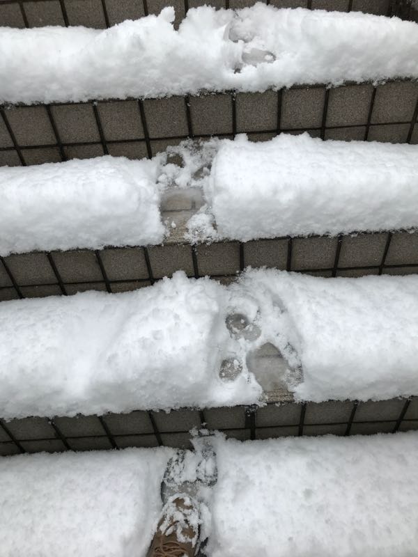 rblog-20180117130232-00.jpg