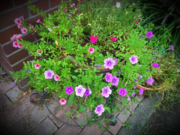 rblog-20150728202710-03.jpg