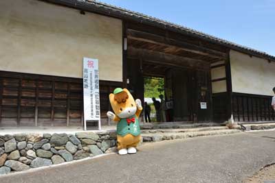 藤岡7.jpg