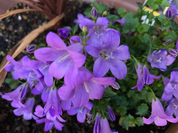 rblog-20180409192833-09.jpg