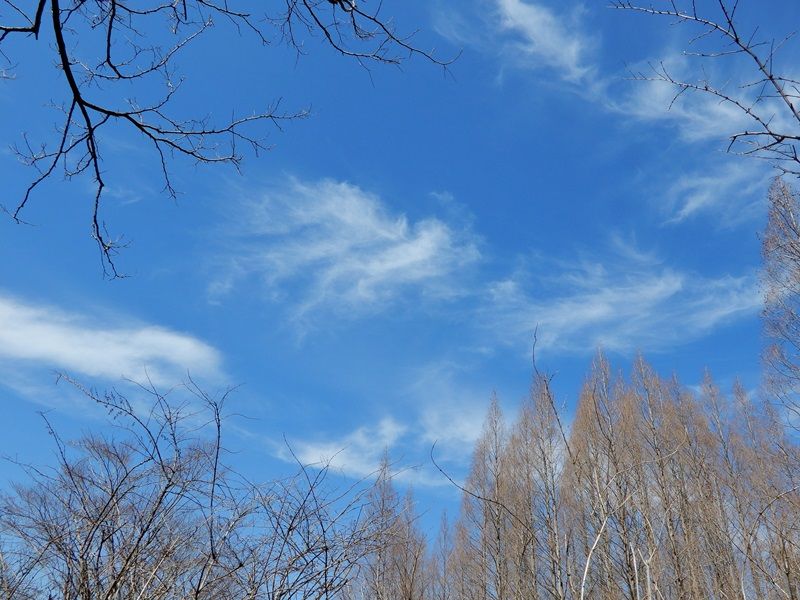 空2