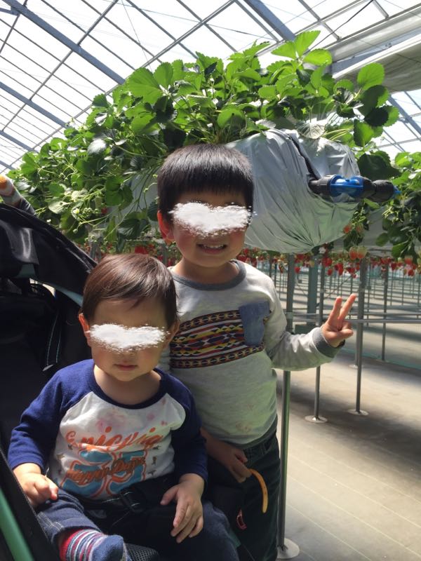 rblog-20160505003853-03.jpg
