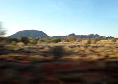 OZ781.jpg
