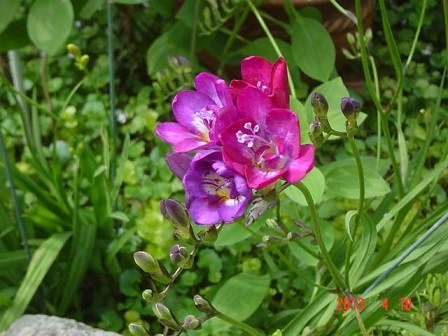 DSC01021.JPG