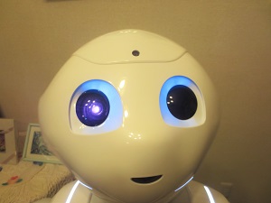 pepper ペッパー